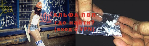 гашик Балахна