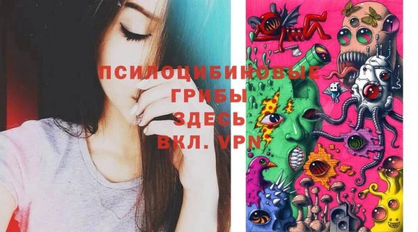 гашик Балахна